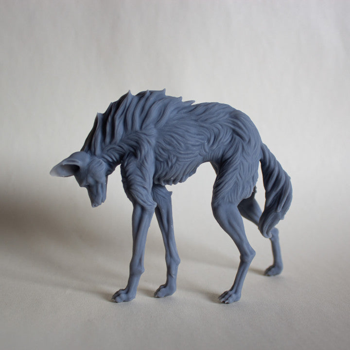 Maned Wolf