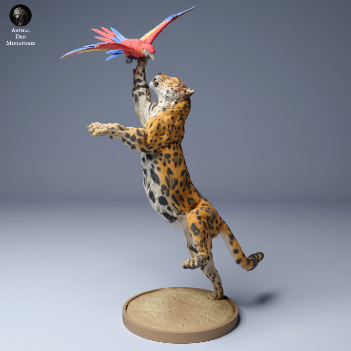 Jaguar (Panthera onca) Catching Scarlet Macaw