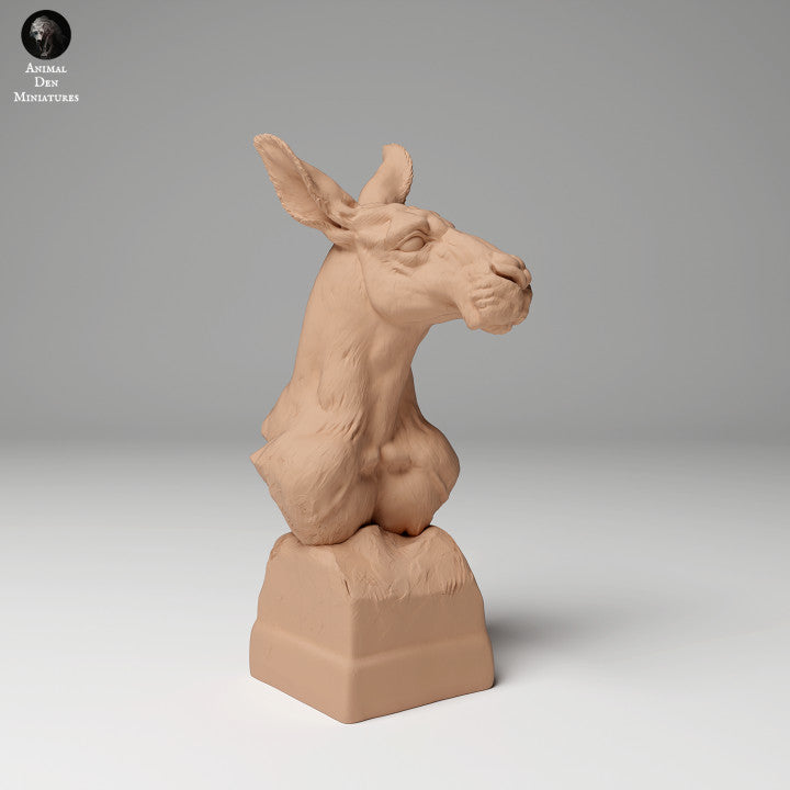 Red Kangaroo Bust