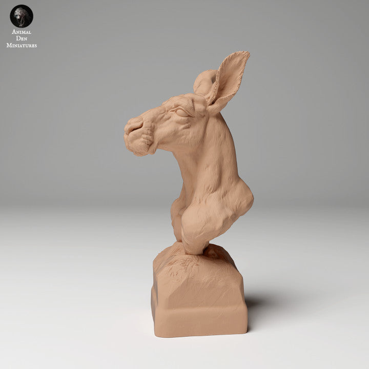Red Kangaroo Bust
