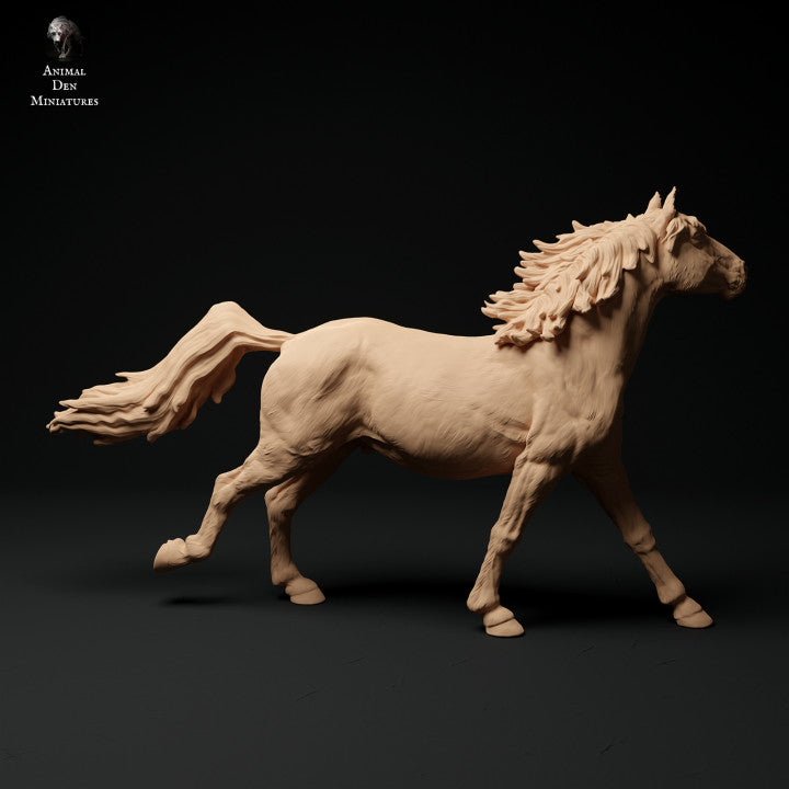 Konik Horse Run