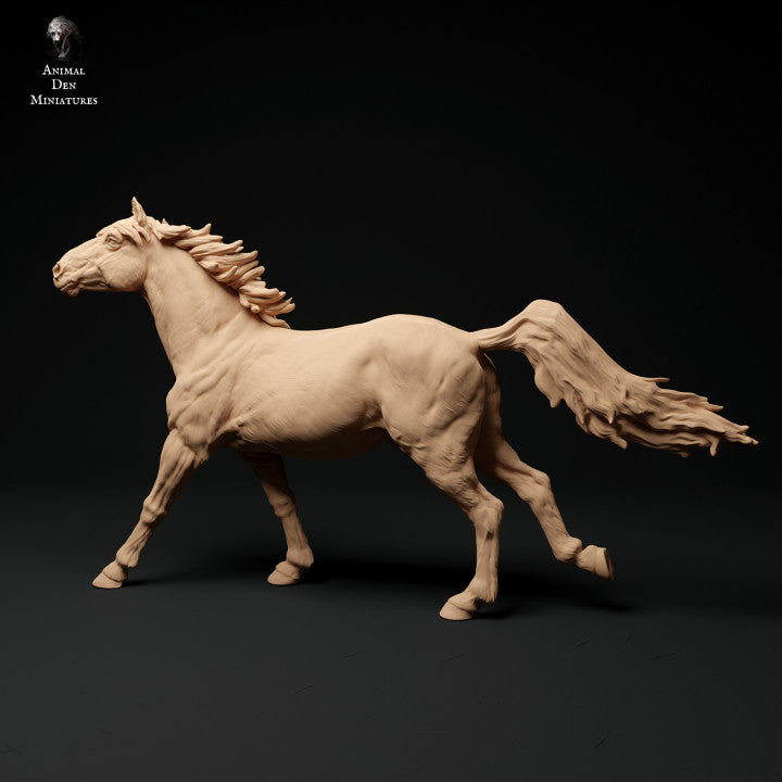 Konik Horse Run