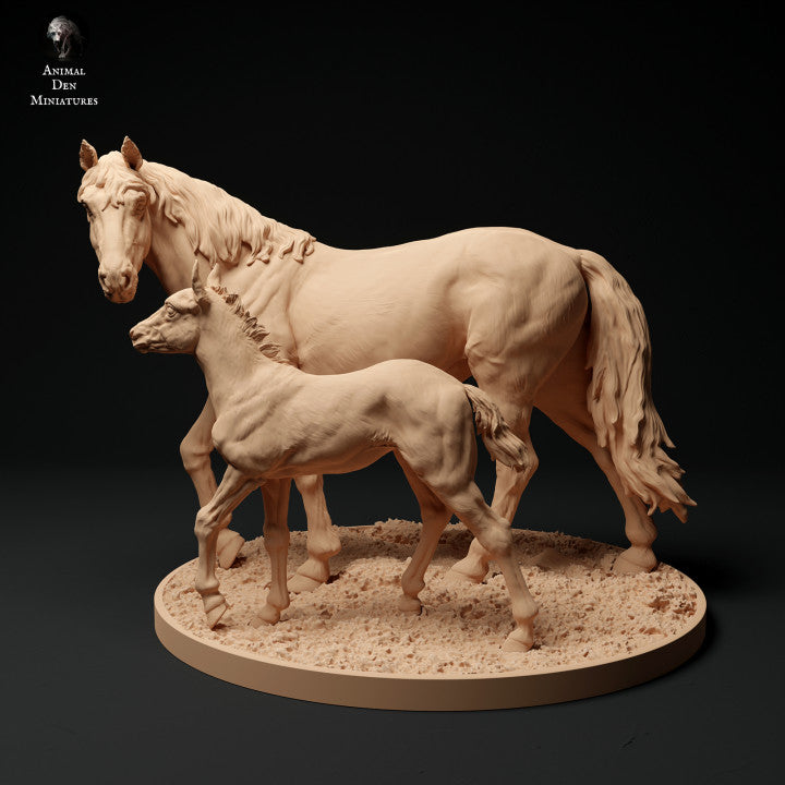 Konik Horse Mare and Calf