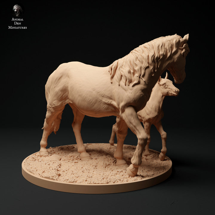 Konik Horse Mare and Calf