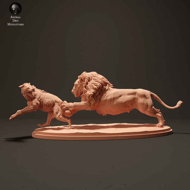 Lion Hunting a Spotted Hyena