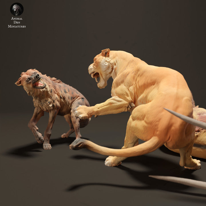 Lionesses vs Spotted Hyenas