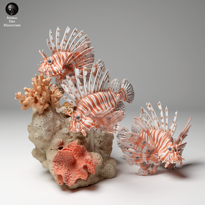 Red Lionfish