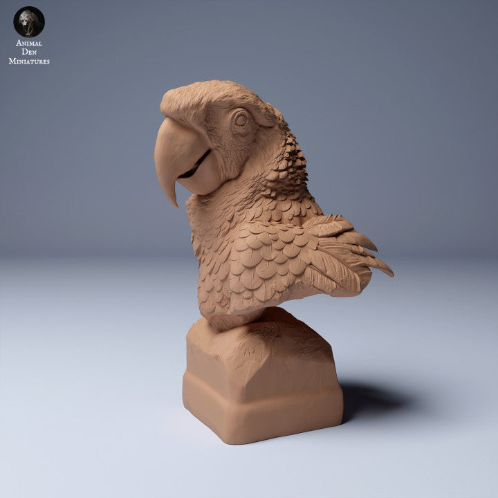Scarlet Macaw (Ara macao) Bust