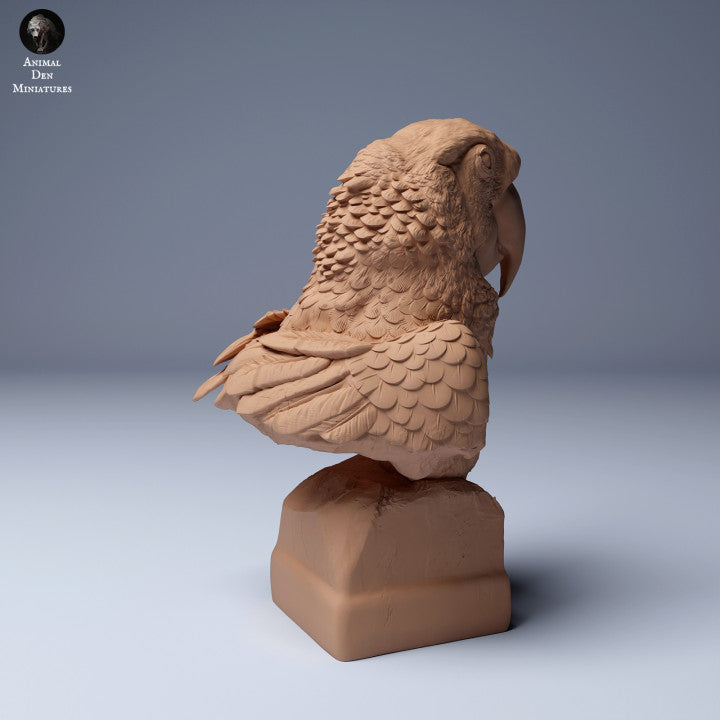 Scarlet Macaw (Ara macao) Bust