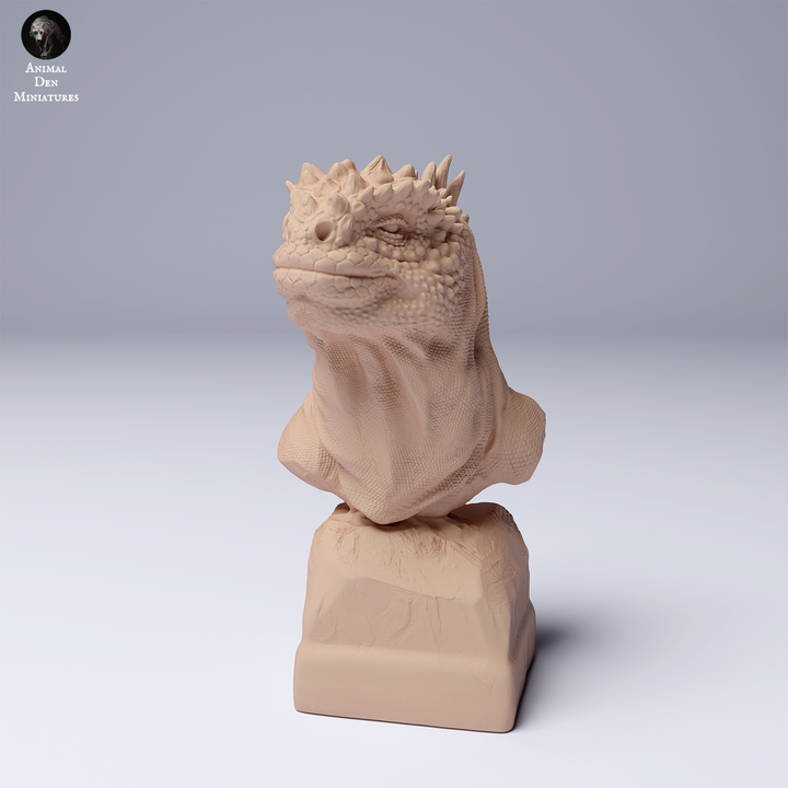 Marine Iguana Bust