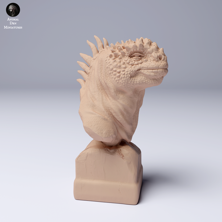 Marine Iguana Bust