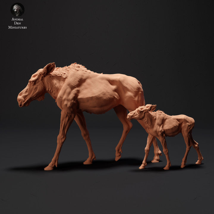 Moose Female and Calf