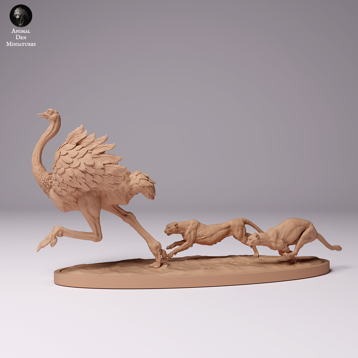Cheetahs Hunting North African Ostrich