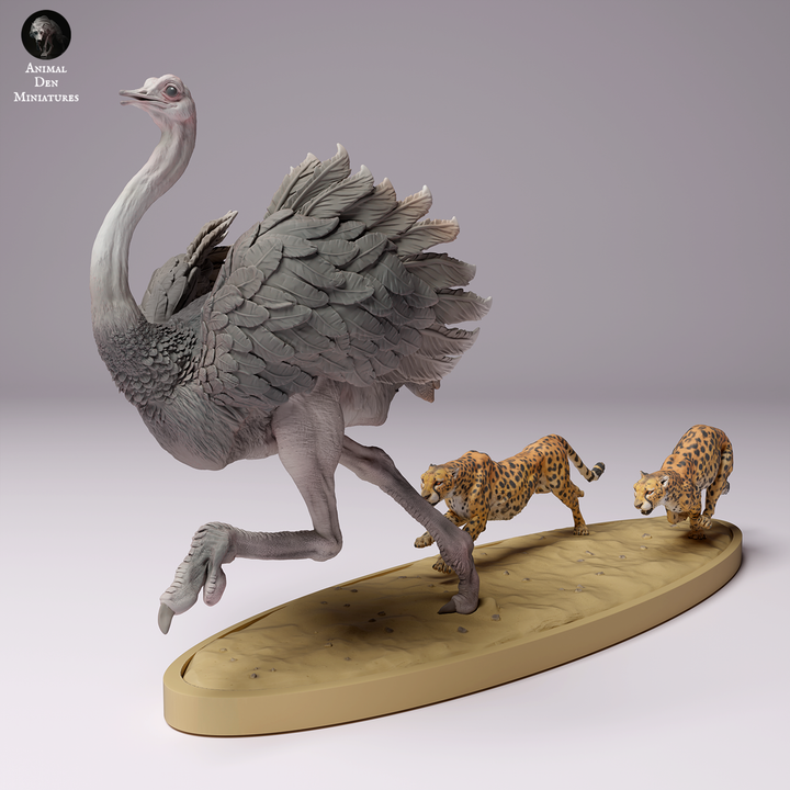 Cheetahs Hunting North African Ostrich
