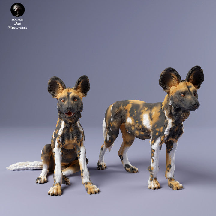 African Wild Dog Pups
