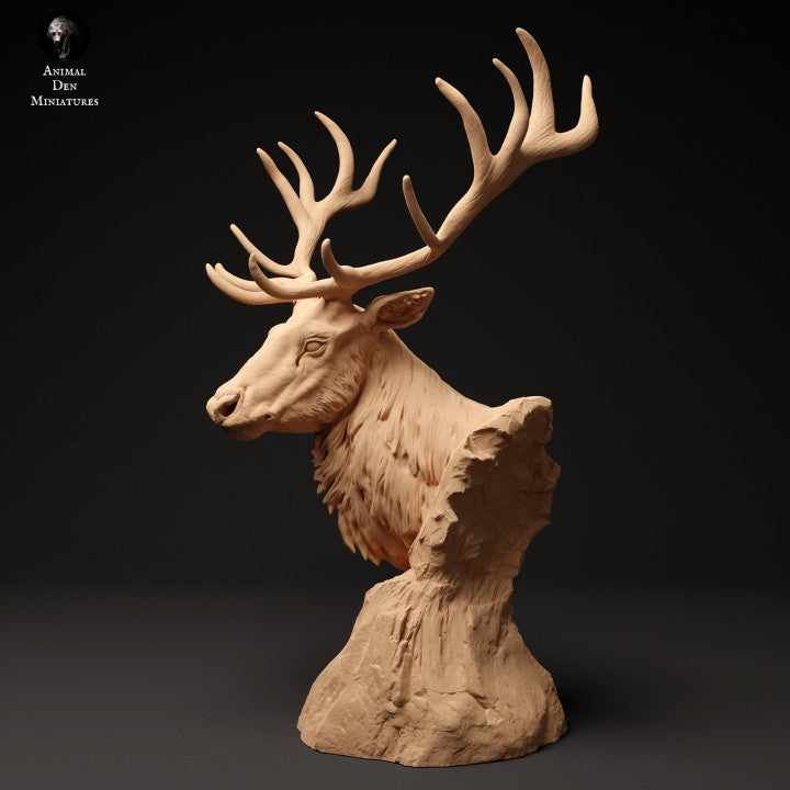 Red Deer Bust