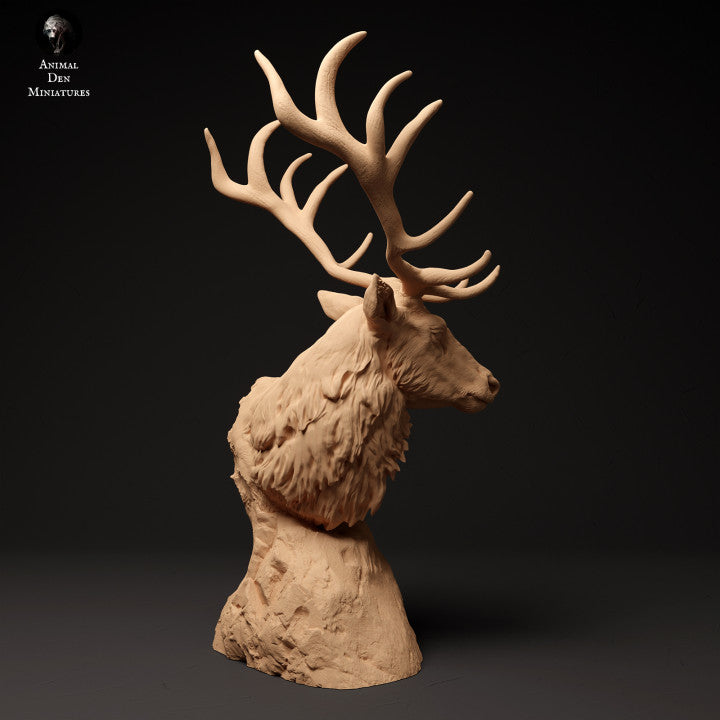 Red Deer Bust