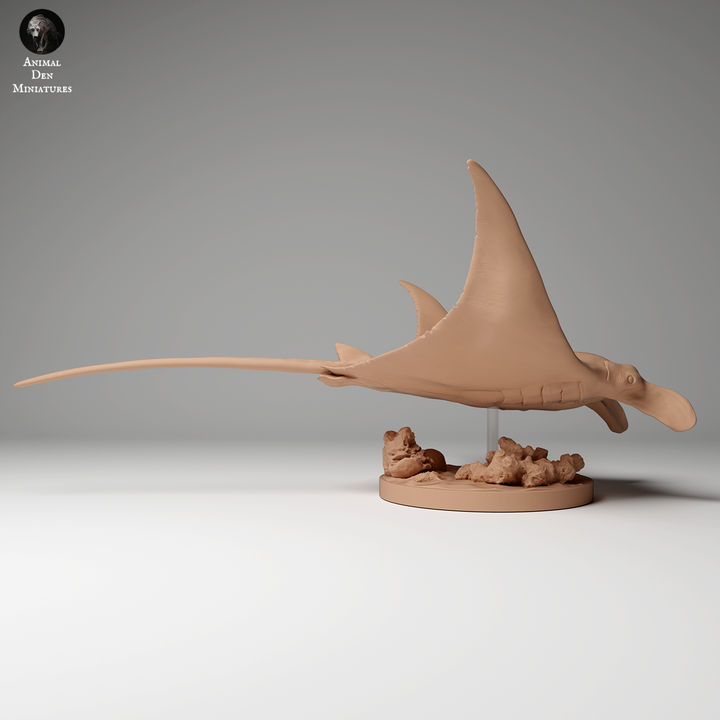 Reef Manta Ray