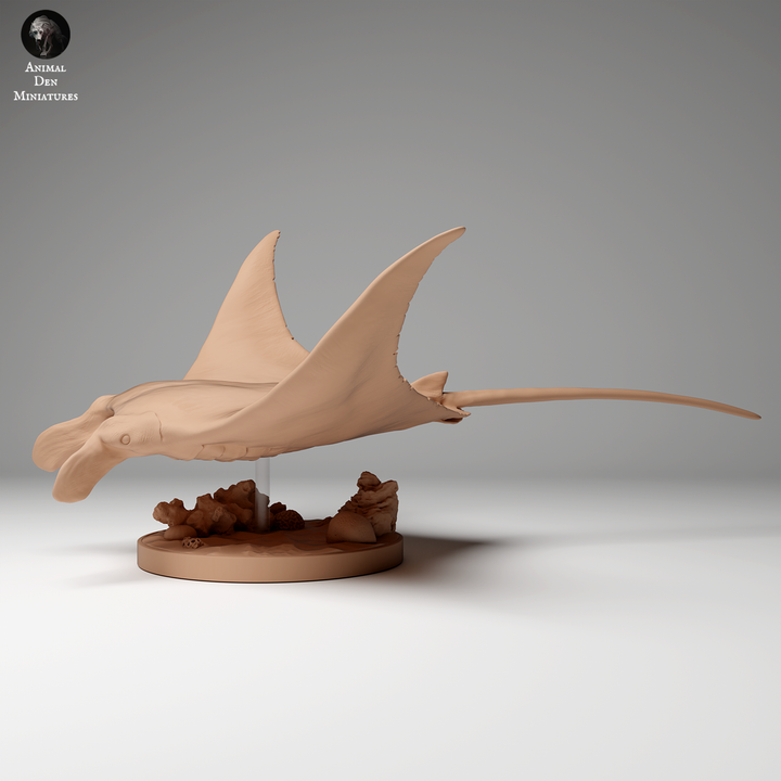 Reef Manta Ray