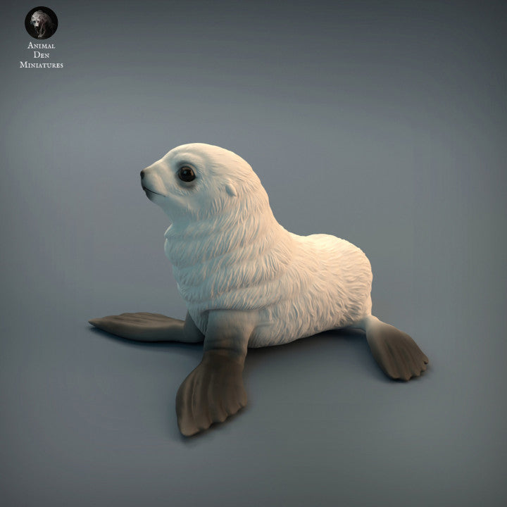 Seal Pup