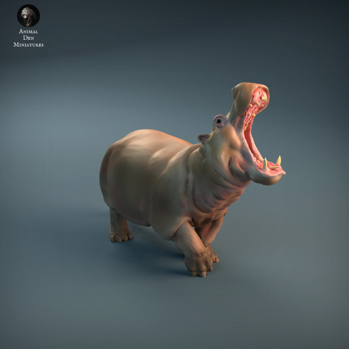 Angry Hippo