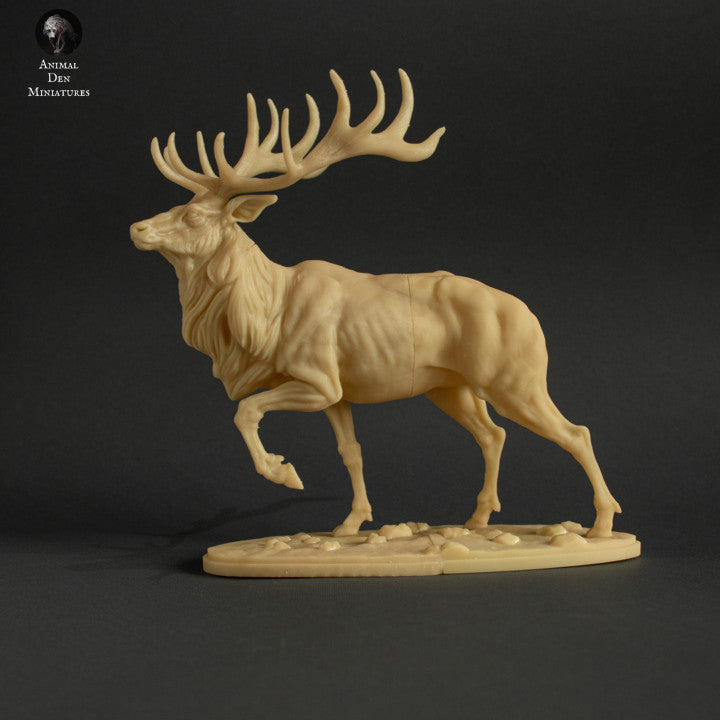 Elk