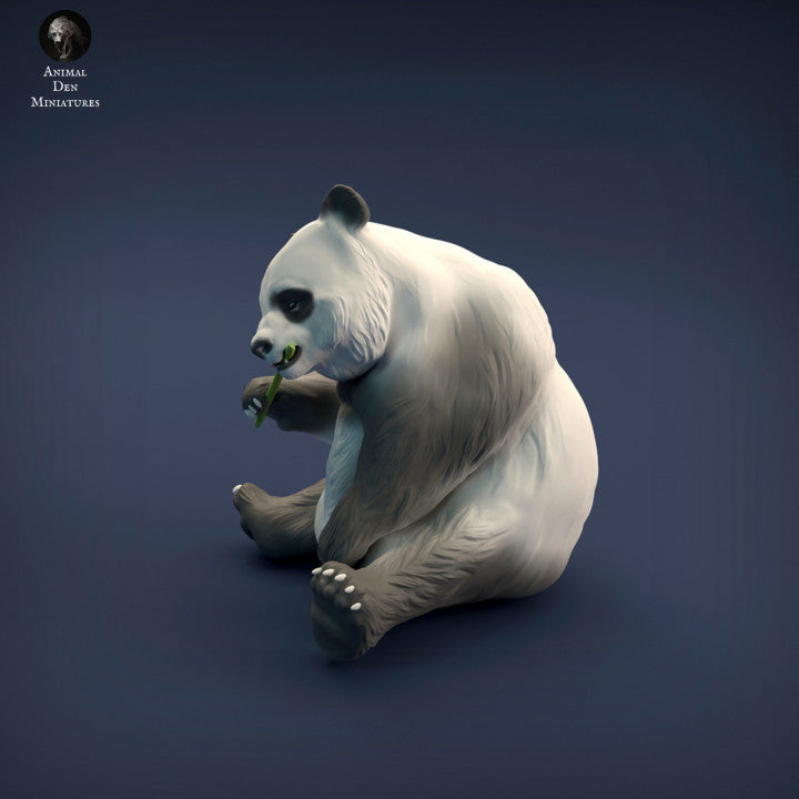 Giant Panda