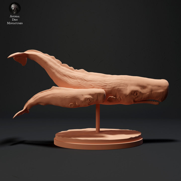 Sperm Whale and Calf