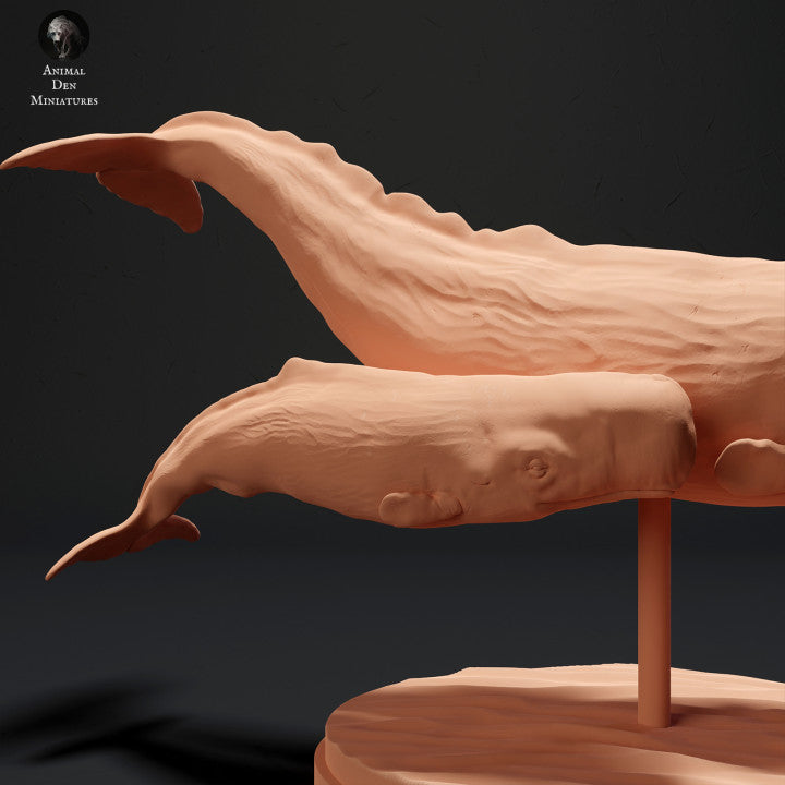 Sperm Whale and Calf