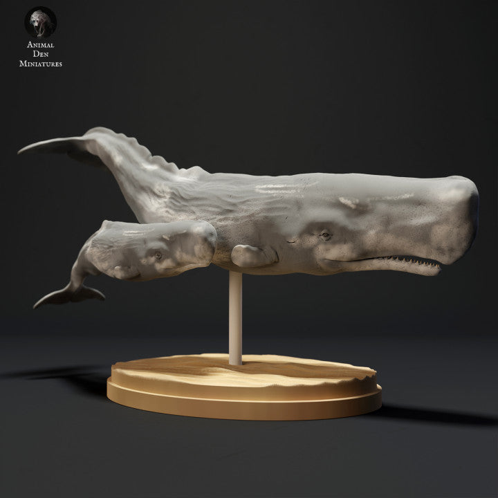 Sperm Whale and Calf