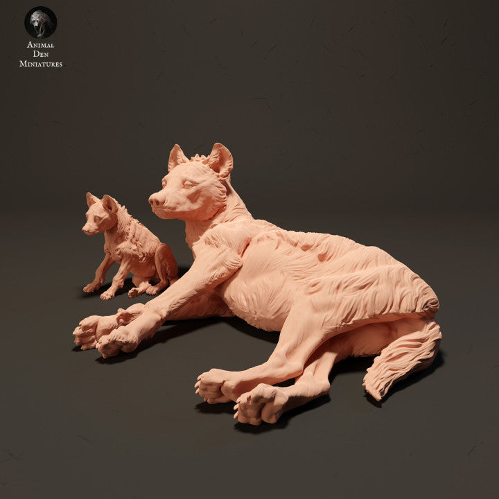 Spotted Hyena and Pup