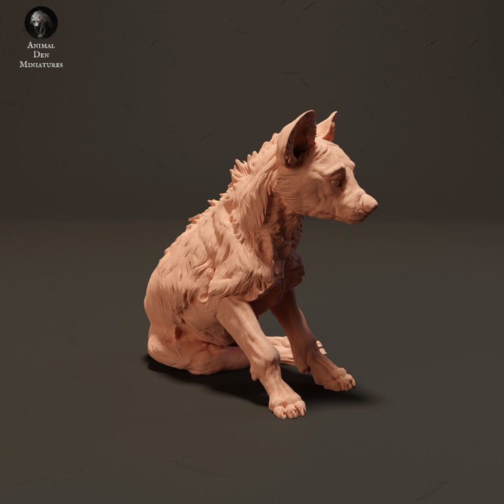 Spotted Hyena Pup