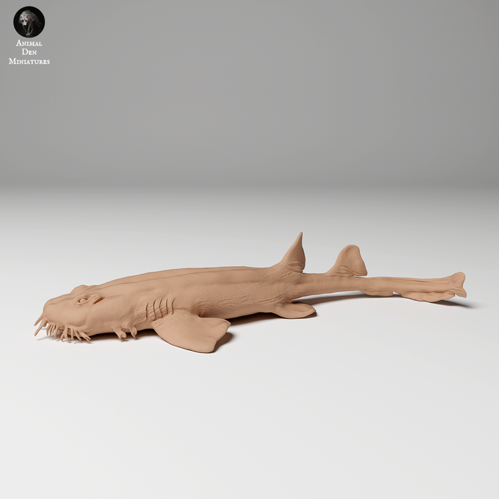 Spotted Wobbegong Shark