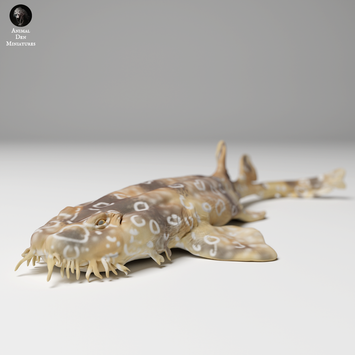 Spotted Wobbegong Shark