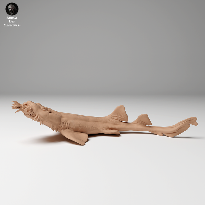 Spotted Wobbegong Shark Hunt