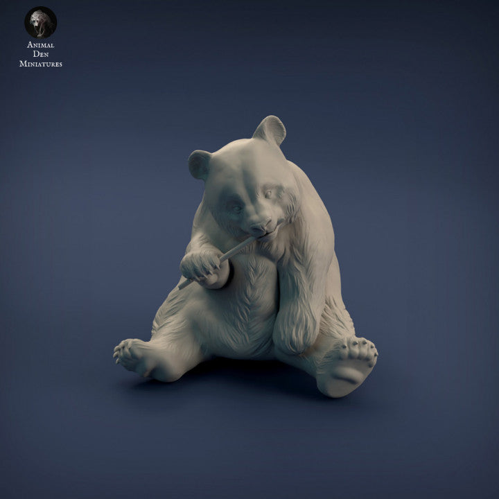 Giant Panda