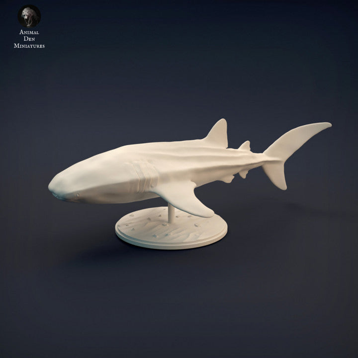 Whale Shark