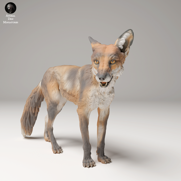 Red Fox