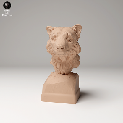 Common Raccoon Bust