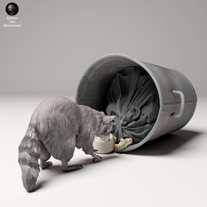 Common Raccoon Digging Through Trash