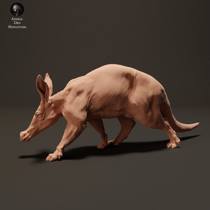 Aardvark