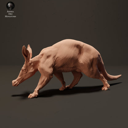 Aardvark