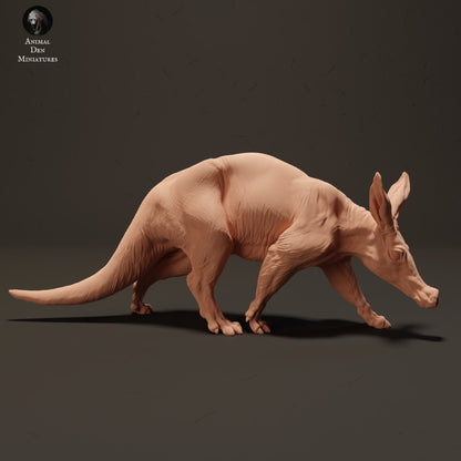 Aardvark