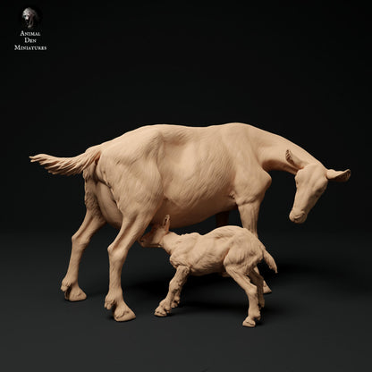 Alpine Goat with Kid