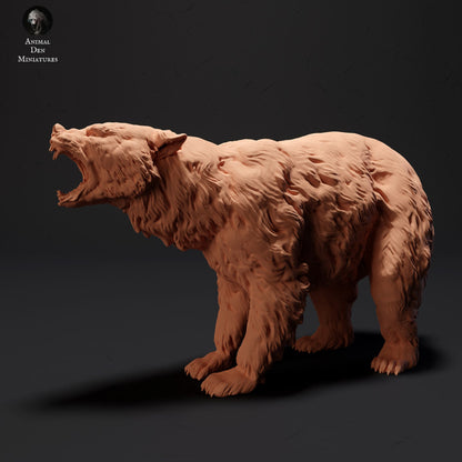 Black Bear Angry