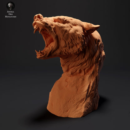 Black Bear Bust
