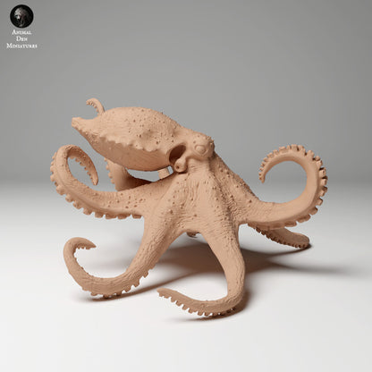 Greater Blue-Ringed Octopus Swim