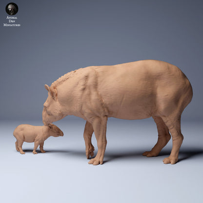 Brazilian tapir (Tapirus terrestris) Female and Calf