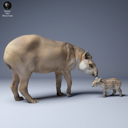 Brazilian tapir (Tapirus terrestris) Female and Calf