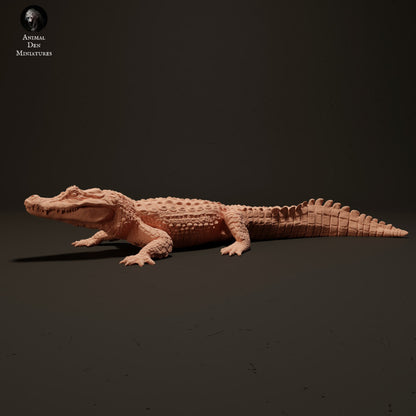 Black Caiman Sunbathing